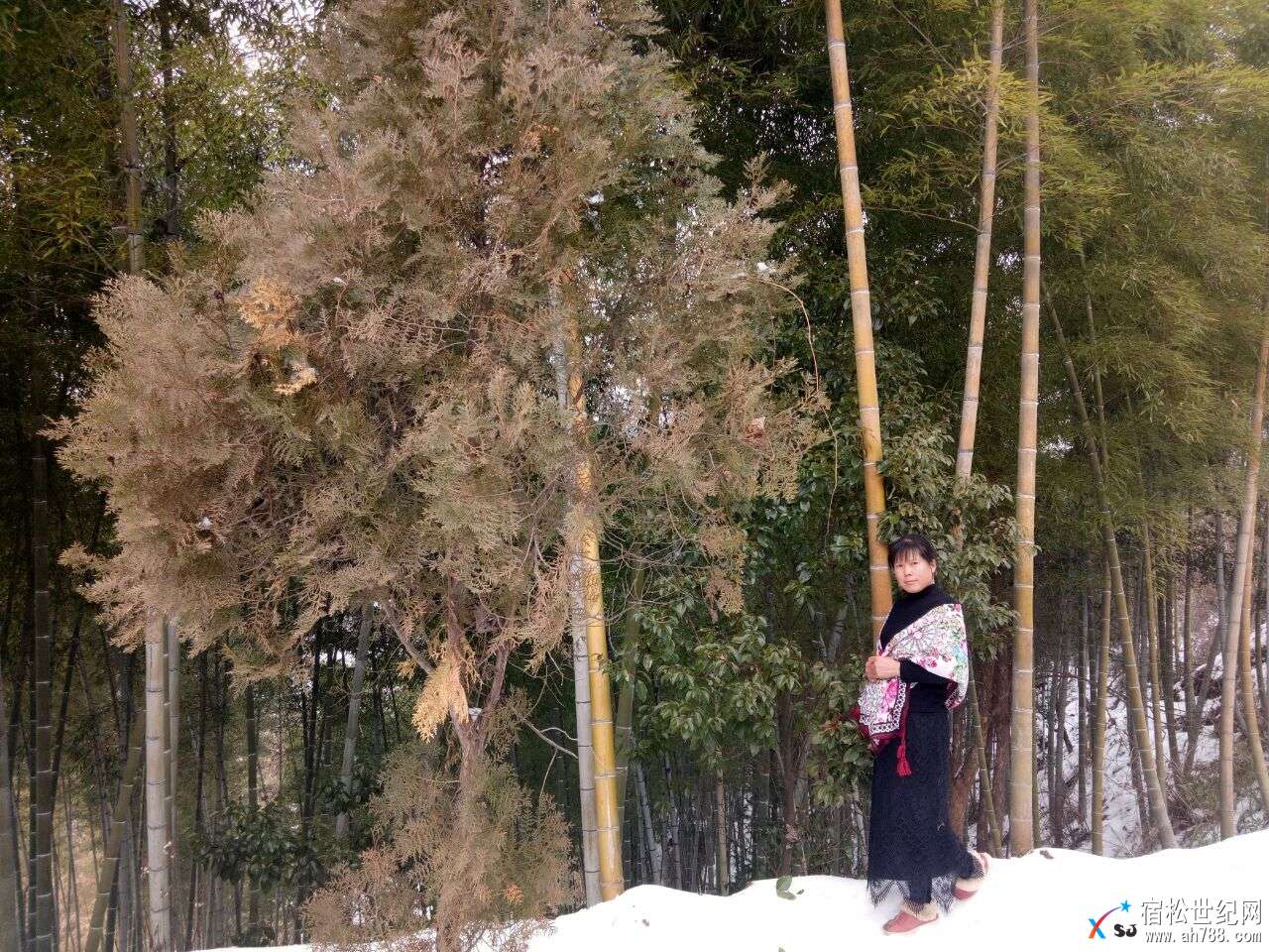 雪3.jpg