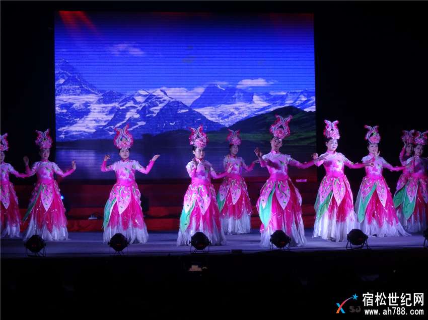 DSC06626 - 复件.jpg