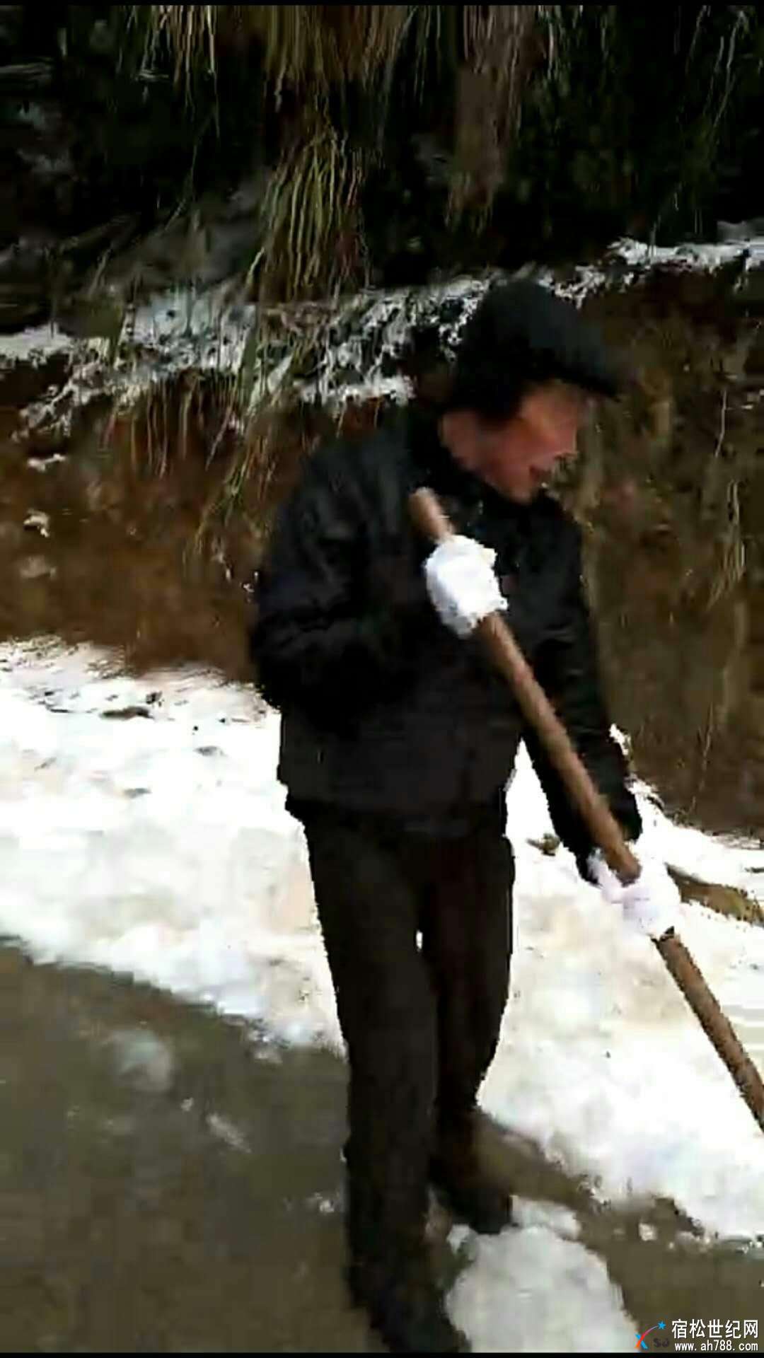 微信图片_20180130093956.jpg