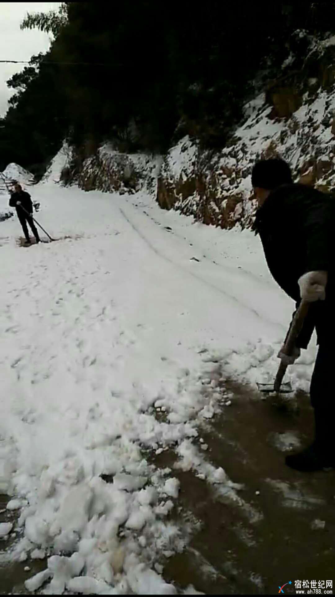 微信图片_20180130093949.jpg