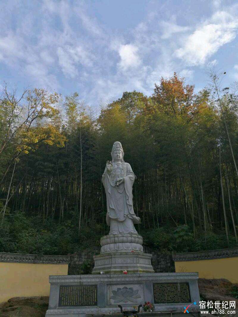 mmexport1517391508006.jpeg