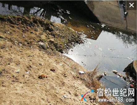 QQ截图20180201163757.jpg