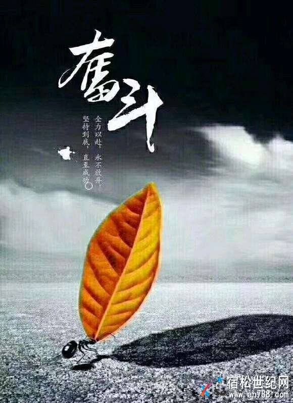 mmexport1515460814330.jpeg