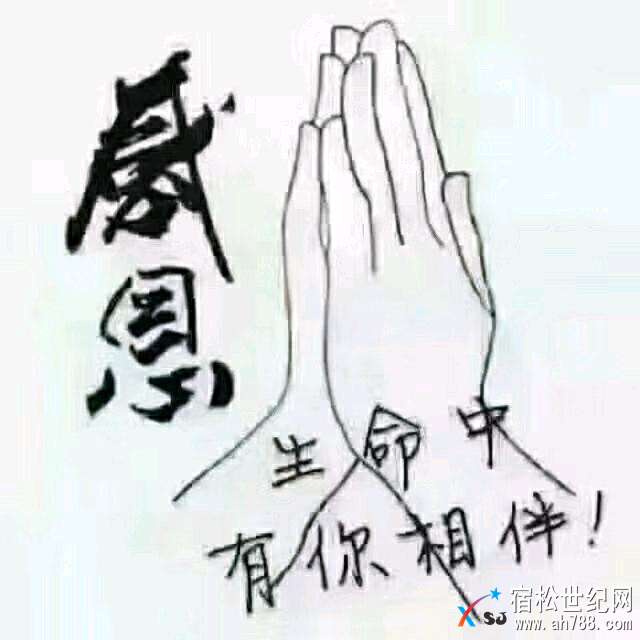 mmexport1518014480100.jpeg