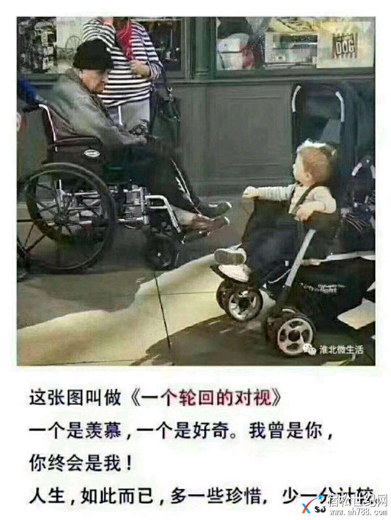 mmexport1518196656164.jpeg