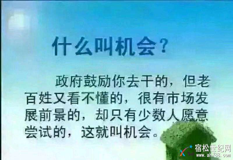 mmexport1516463720804.jpeg