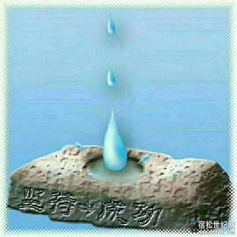 mmexport1516412277664.jpeg