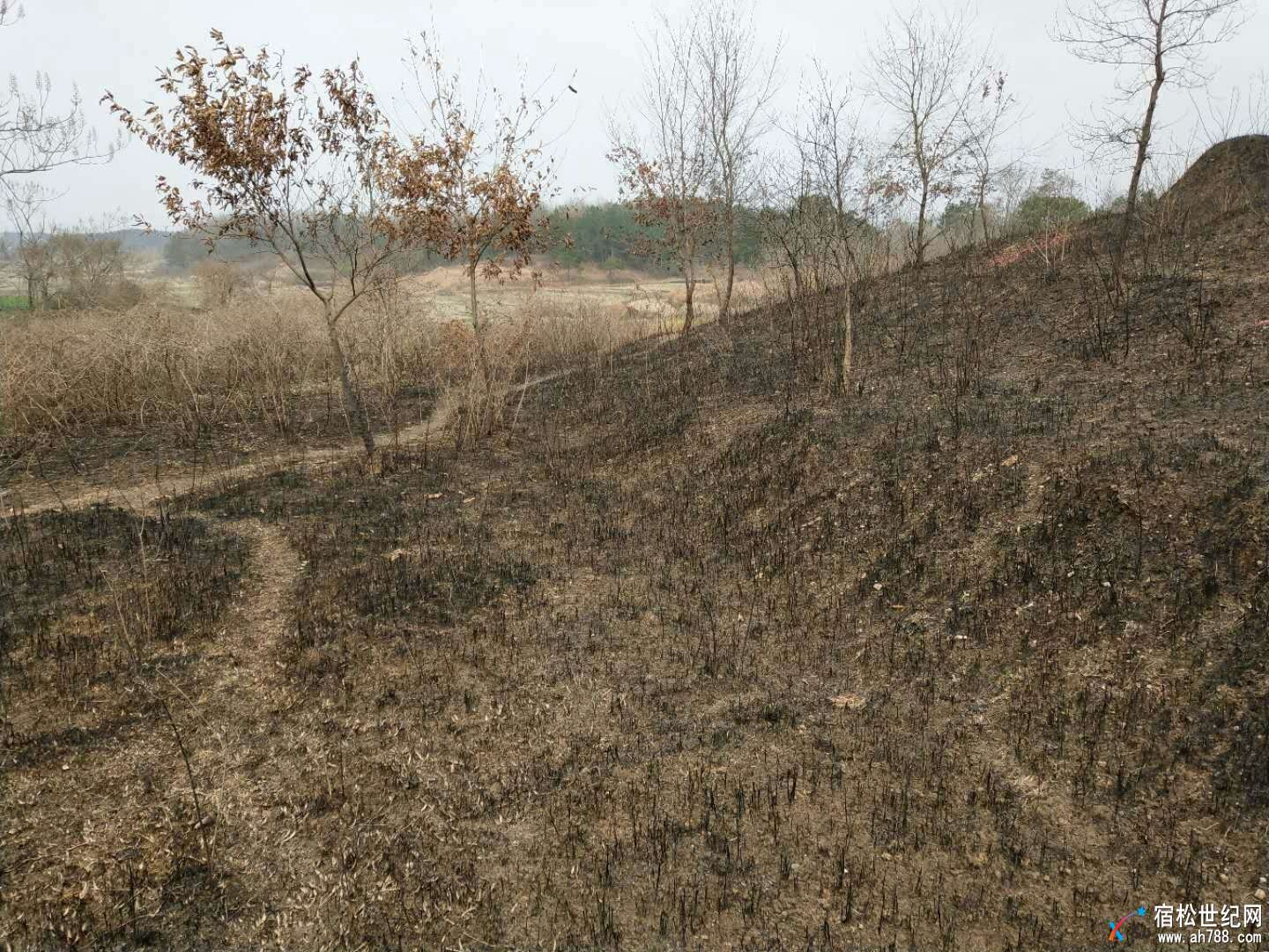mmexport1519465213276.jpg