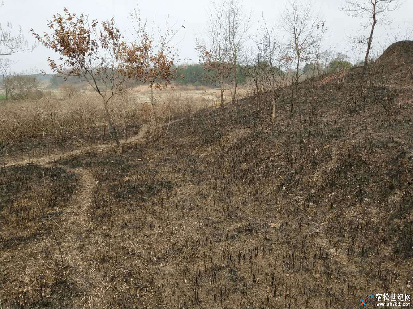 mmexport1519465207090.jpg