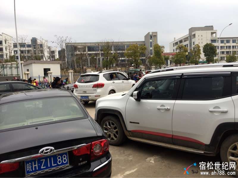 162327e1dy3222ams1qq83.jpg