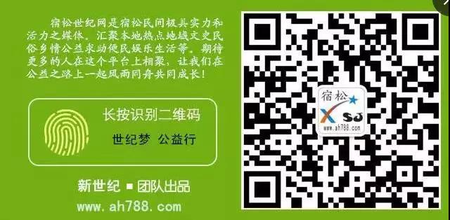 宿松联盟，宿松世纪网，安徽丐昂网络科技信息有限公司 (8).jpg