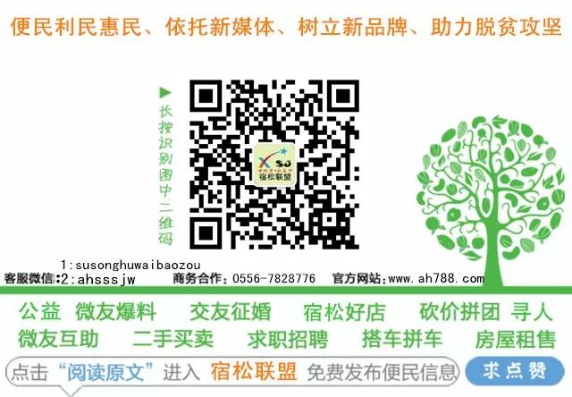 宿松联盟，宿松世纪网，安徽丐昂网络科技信息有限公司 (9).jpg
