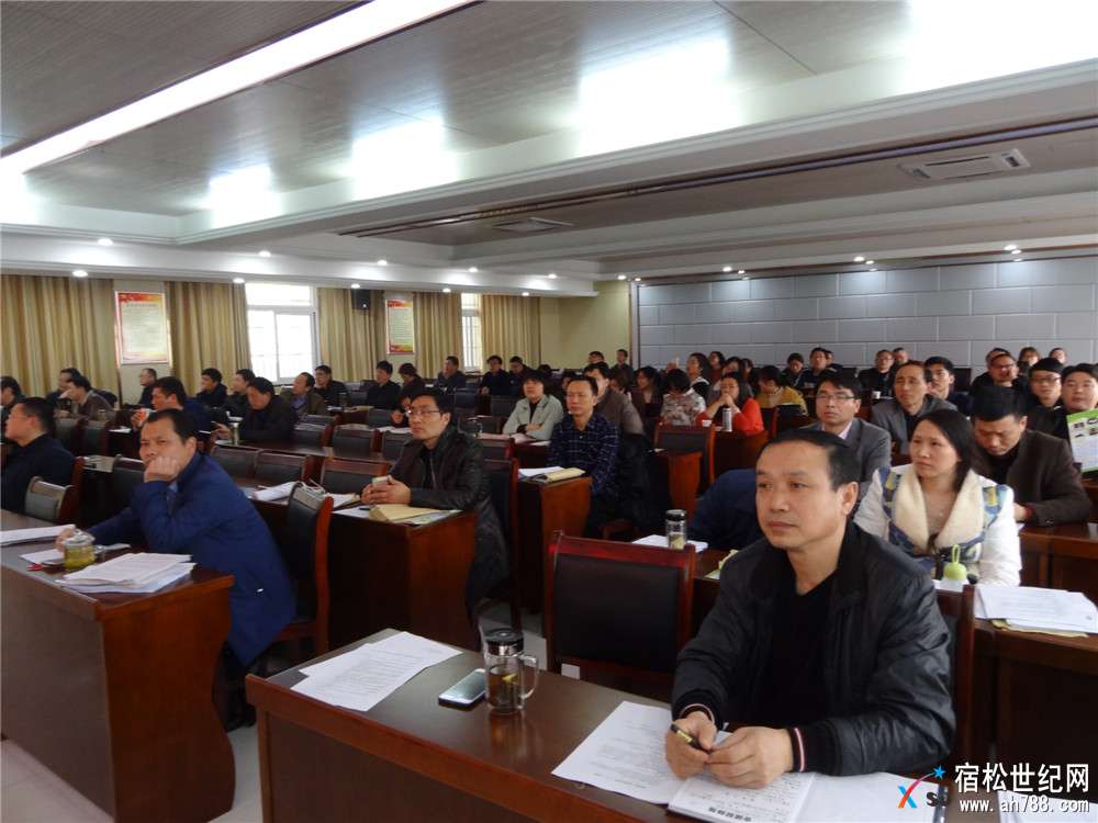 DSC06912_副本.jpg