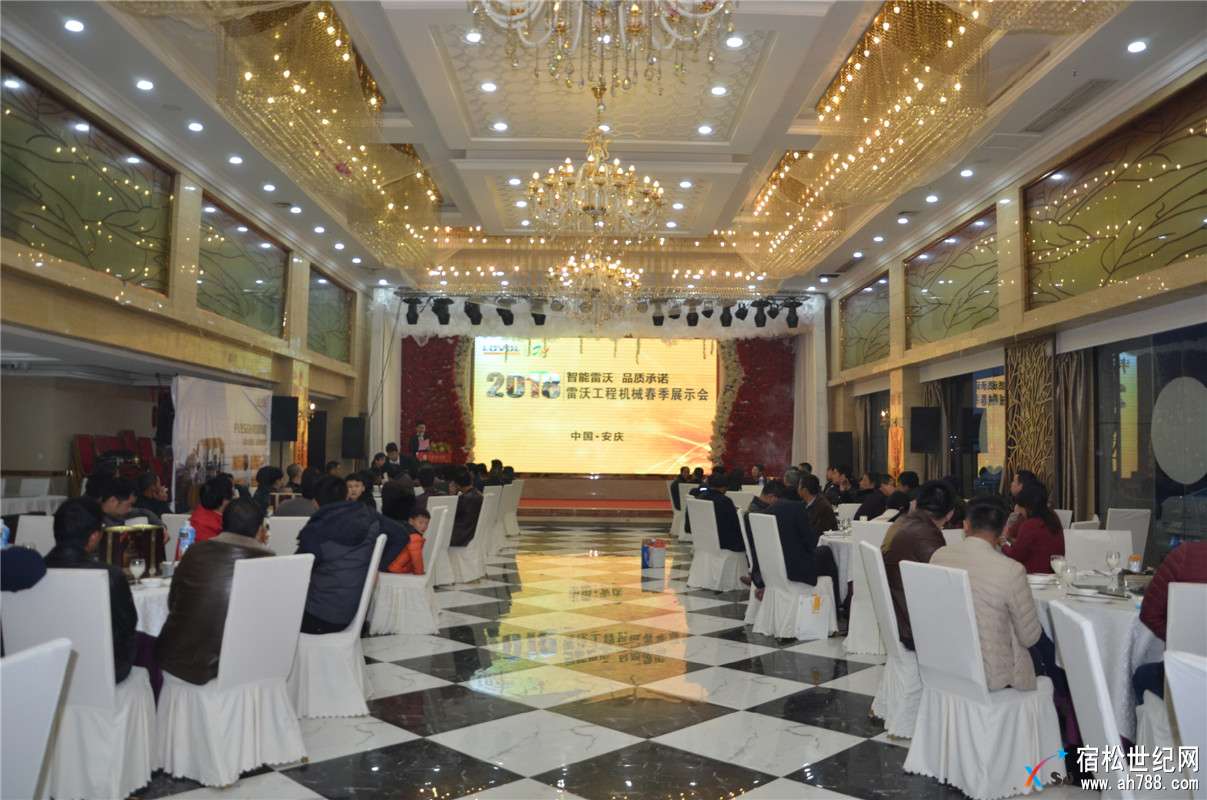 “智能雷沃 品质承诺”雷沃工程机械客户答谢会暨春季展示会在安庆隆重举行 (6).jpg