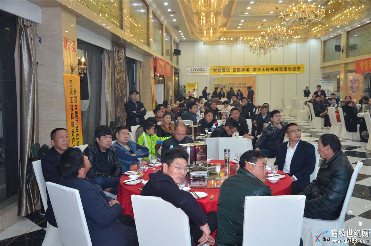 “智能雷沃 品质承诺”雷沃工程机械客户答谢会暨春季展示会在安庆隆重举行 (11).jpg