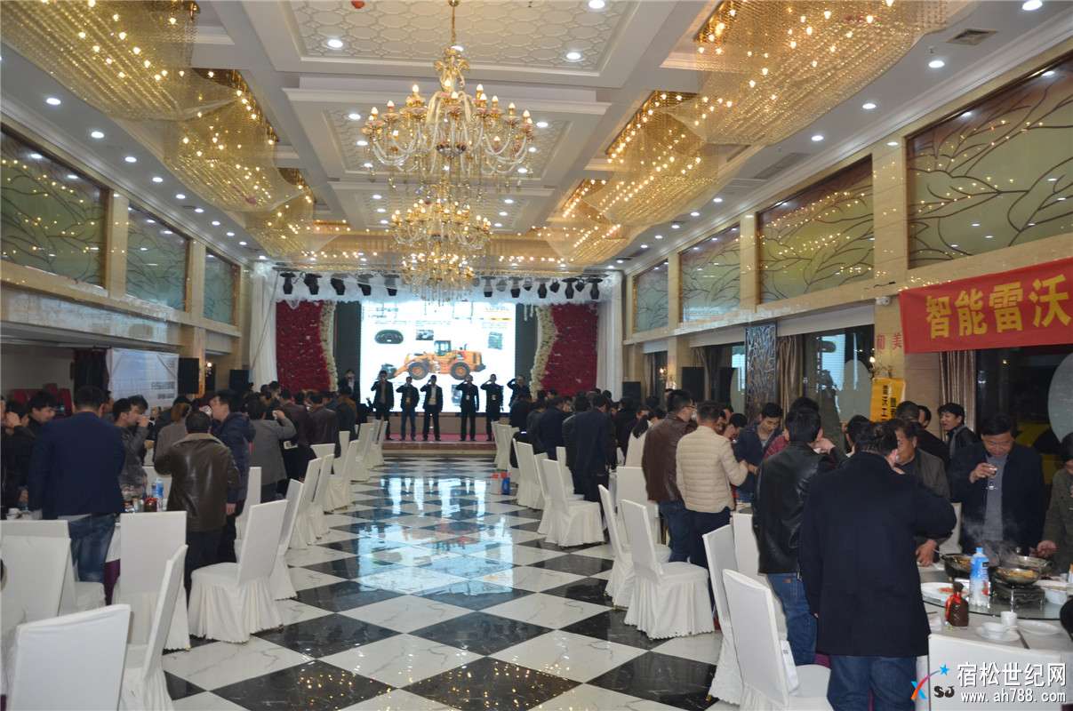 “智能雷沃 品质承诺”雷沃工程机械客户答谢会暨春季展示会在安庆隆重举行 (17).jpg