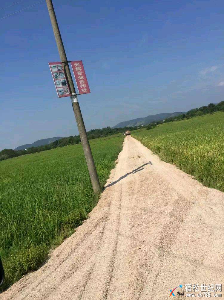 1512602050436.jpeg
