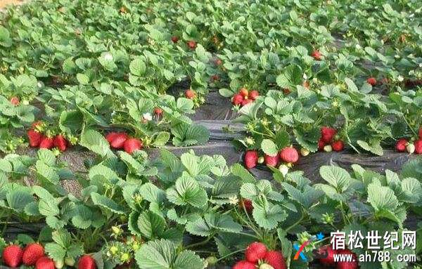微信图片_20180323175052.jpg