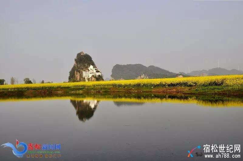微信图片_20180327182822.jpg