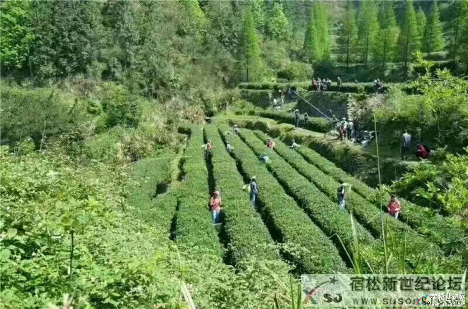 微信图片_20180329160826.jpg