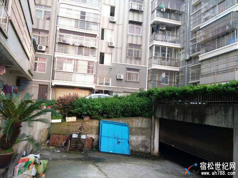 045202vrou6nrhnzjxyxb8.jpg