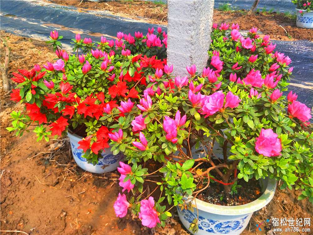 IMG20180403132032.jpg