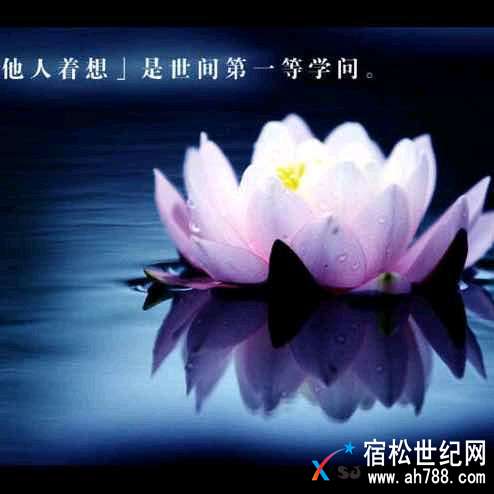 hdImg_ed60b8024761f7a20805a10b106637401522883245439.jpeg