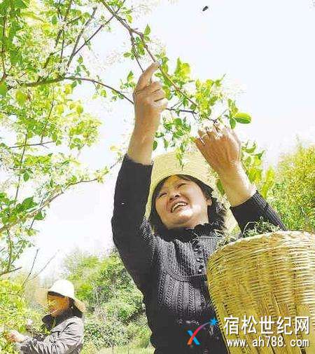 微信图片_20180406121037.jpg