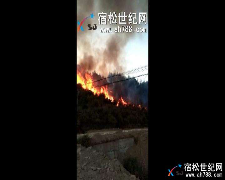 暴风截图20184723472890.jpg