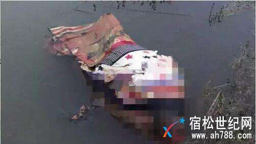 QQ截图20180408162248.jpg