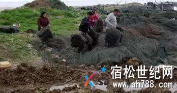 微信图片_20180408165019.jpg