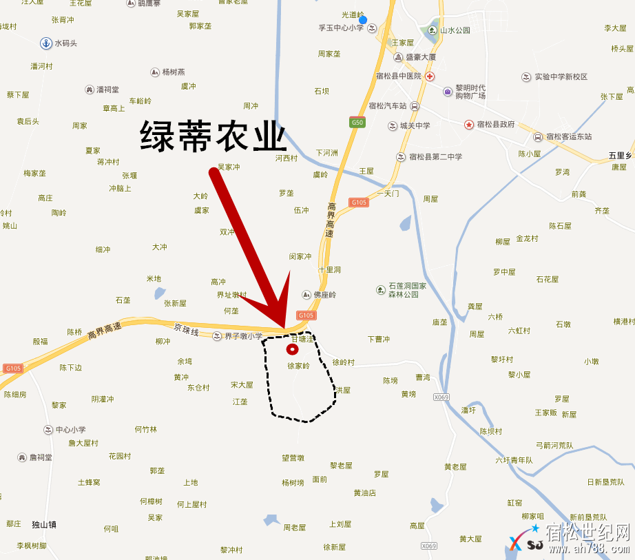 安徽绿蒂农业