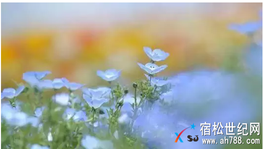 QQ截图20180411235949.png