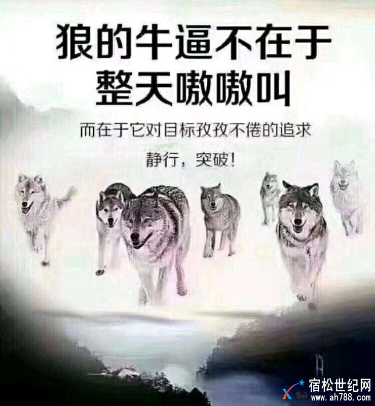mmexport1523455674655.jpeg