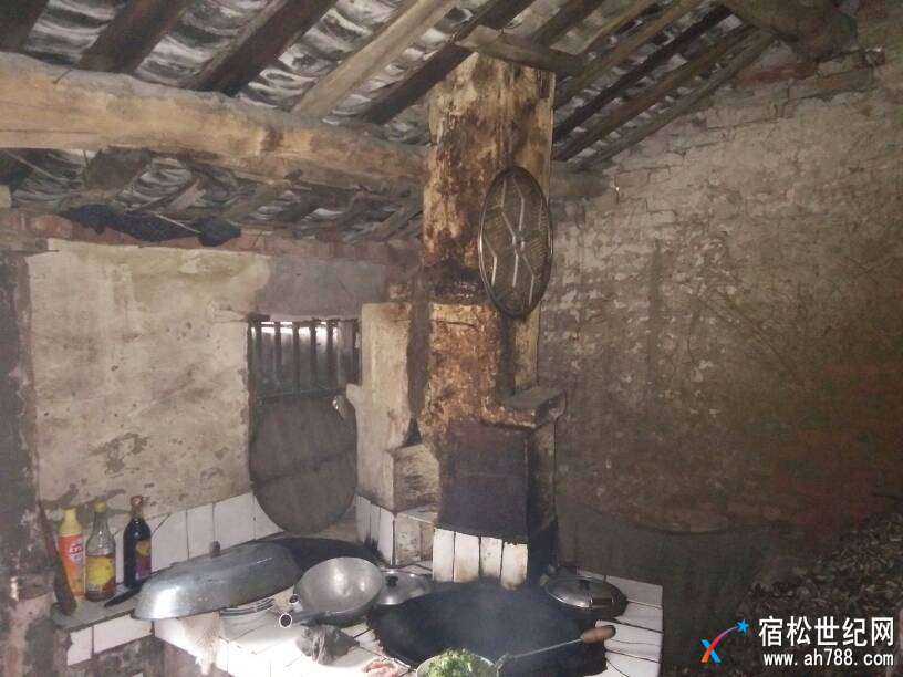 101524tdb13dzdyat29haa.jpg