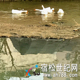 微信图片_20180417095602.gif