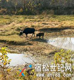 微信图片_20180417095559.jpg