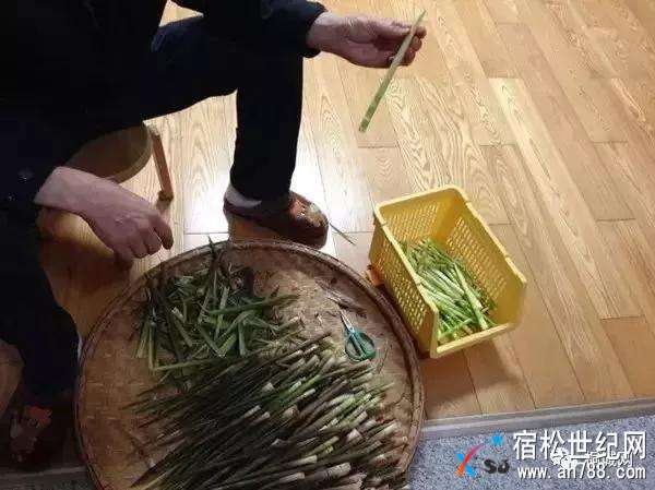 微信图片_20180418184047.jpg