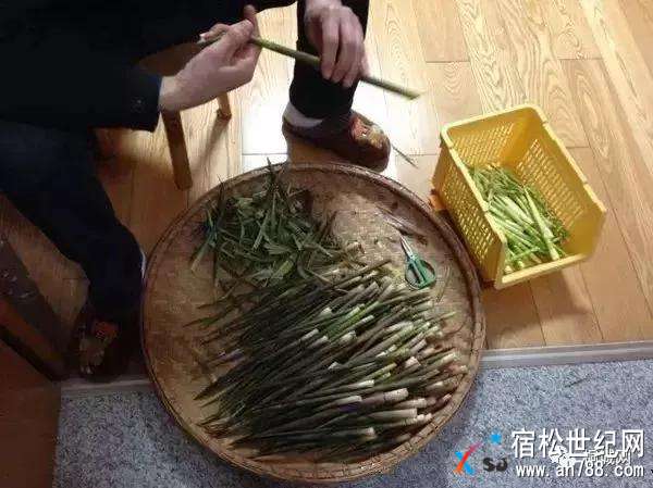 微信图片_20180418184043.jpg