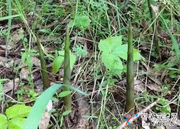 微信图片_20180418184030.jpg