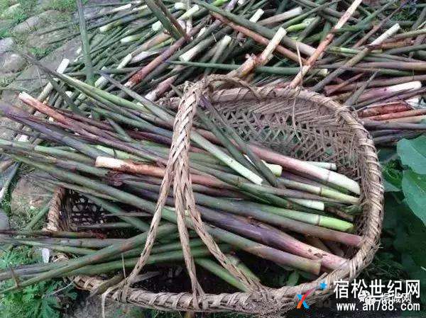 微信图片_20180418184034.jpg