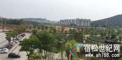 085053si1p1izp9amihxpp.jpg.thumb.jpg