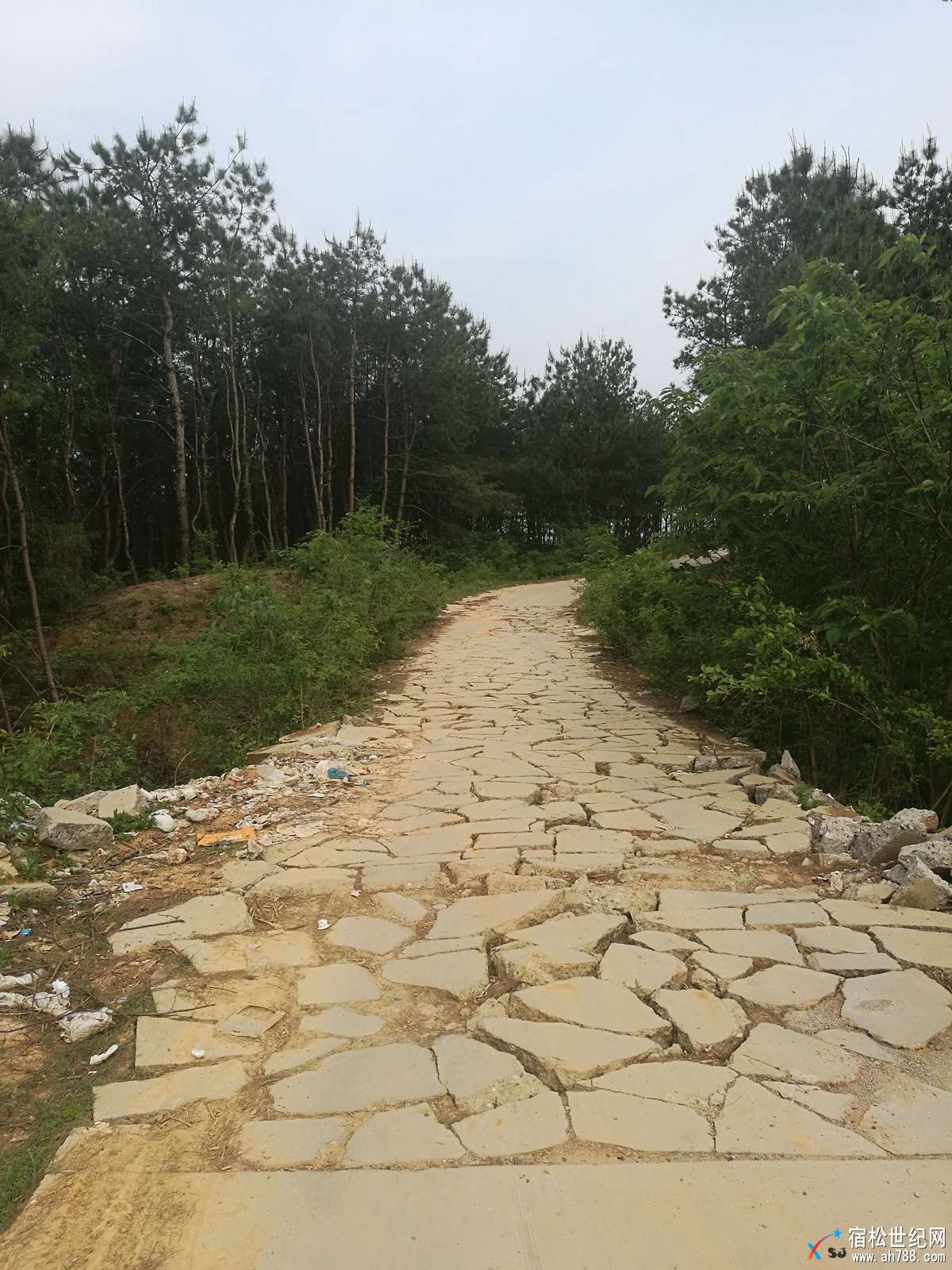 千岭乡汪洋庙被人为破坏.jpg