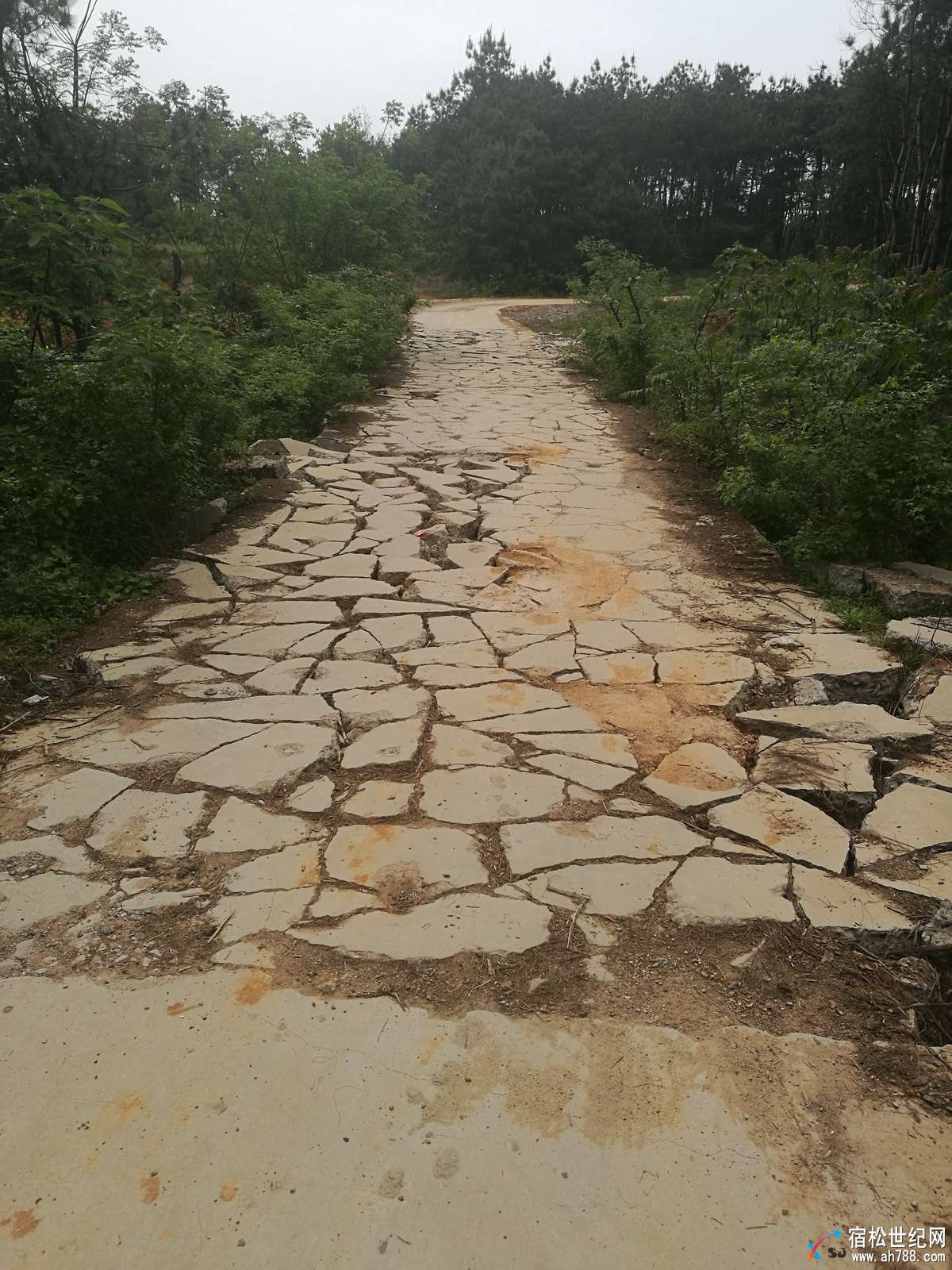千岭乡汪洋庙桥面.jpg