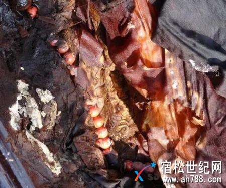 微信图片_20180502091516.jpg