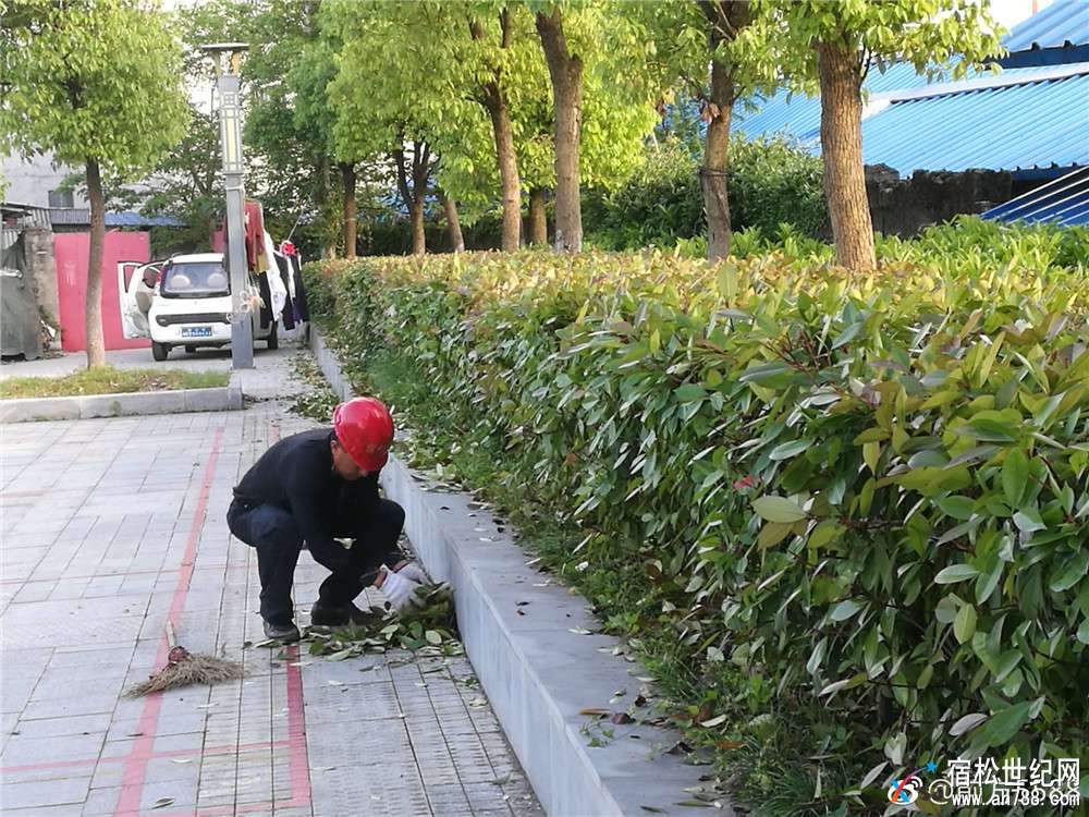微信图片_20180504002913.jpg