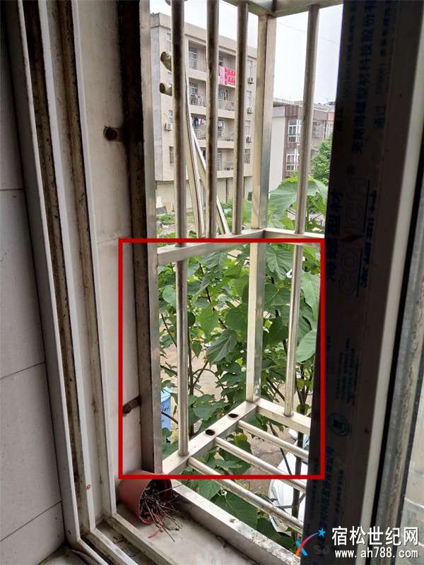 微信图片_20180512131751.jpg