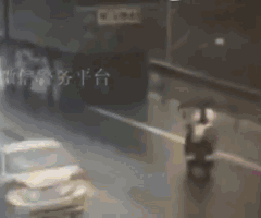 2.gif