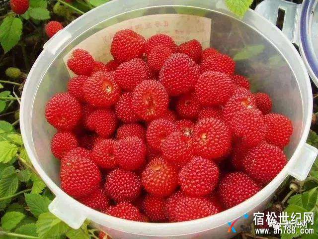 微信图片_20180521110158.jpg