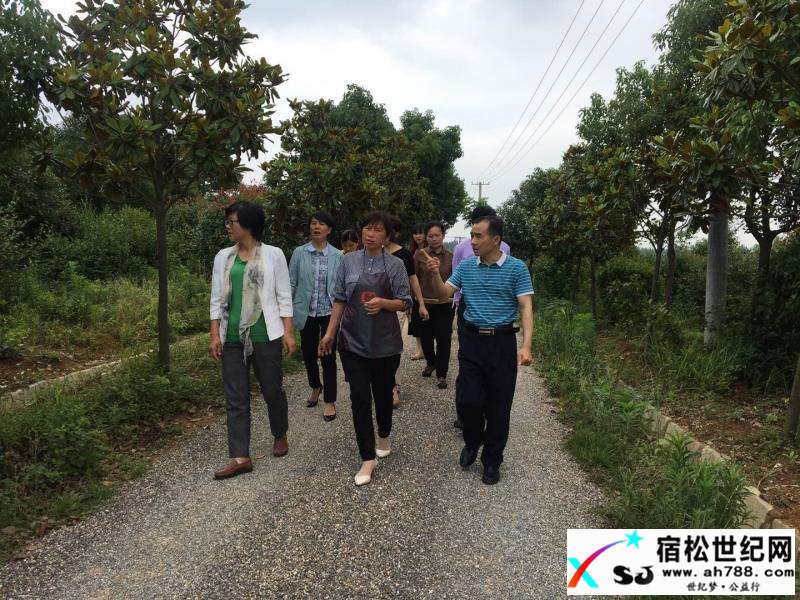 微信图片_20180525122813.jpg